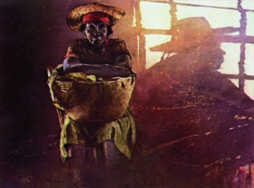 "LA NEGRA"