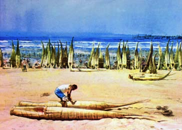 "CABALLITOS DE TOTORA"
