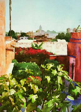 "HIGUERA DE LA CALLE ZURBARAN"